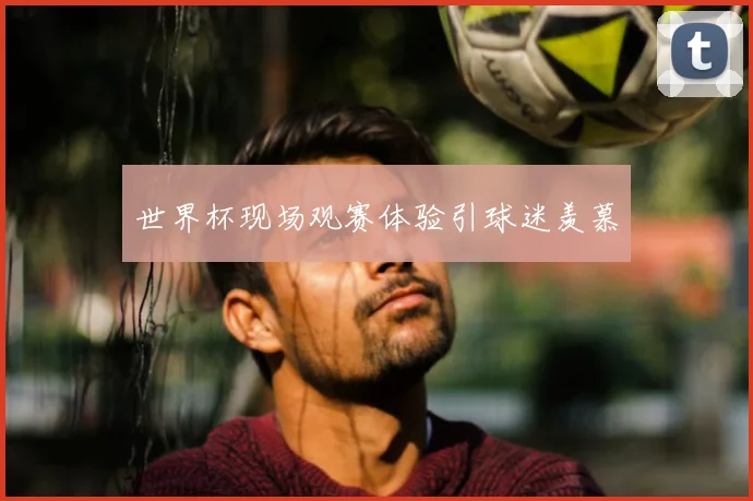 世界杯现场观赛体验引球迷羡慕