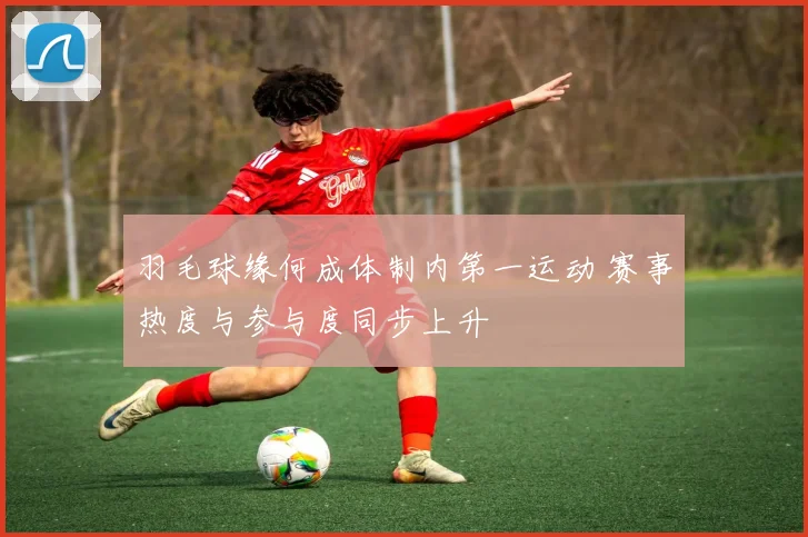 羽毛球缘何成体制内第一运动 赛事热度与参与度同步上升