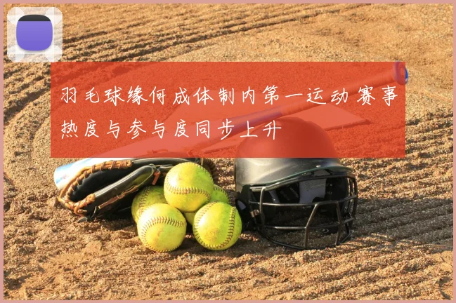 羽毛球缘何成体制内第一运动 赛事热度与参与度同步上升